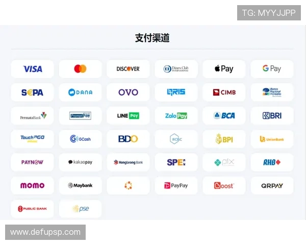 PP体育平台支付方式详解:多样支付渠道保障用户观看体验的安全性